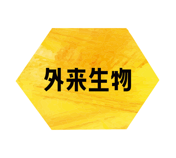 外来生物