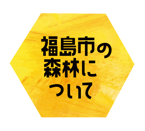 福島市の森林について