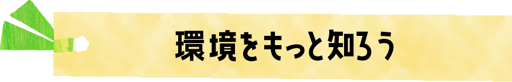 環境をもっと知ろう