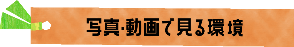 環境を楽しく学ぼう